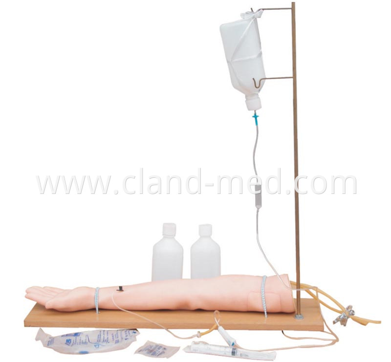 CL-MD0099 INJECTABLE TRAINING ARM MODEL